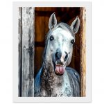 3b5efaff-7048-486d-8322-f4f31cd97592