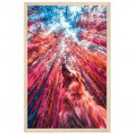 3c884ca1-2691-44a3-87c2-9c9525f076b5