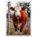 41933e17-71c5-40b3-bf79-386a0ed7e778