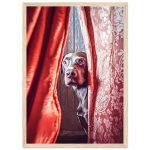 42b31a41-8579-48db-b769-cc301619578f