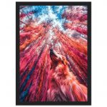 446a2566-ca97-41e0-a87b-9ef71bb81b51