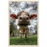 46449e8f-8560-4622-818a-2d0021d8c4de