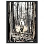 488ba55d-82e4-4cd1-963a-5796d98cf297