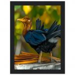 4b99bf8b-b42a-41b8-83c2-dc1a18934ea5