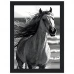 4bce0255-15e2-427a-92b4-a307be0088ee