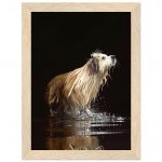 4c1a8b8c-cfa2-404f-b079-d502520670f6