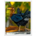 4d7da188-1dc6-40cb-98f2-a33048b0b245