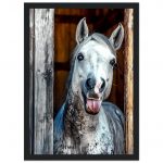 4e730f2a-8dbe-4df7-87db-cc78e7aee460