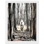 513bfe30-53a4-4842-9596-06ea368ea13e