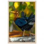 5155b6c1-f923-404b-8328-453cbcd910f0