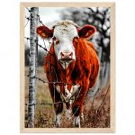 51adad68-1625-439c-b955-800ab3cea21f