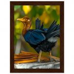 5377d90b-cd82-4816-a6b3-02a5c4998571