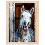 5832757e-2c31-4290-a15b-4b7f5c5e4ed0