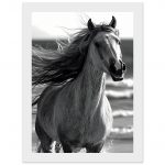 5980b830-3145-411f-97ad-fc26dbbcec1a