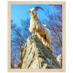 5a539710-7d5c-4983-be42-05d6240bdc1b