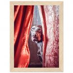 5b243fe0-c991-4736-aac3-be1556e93911