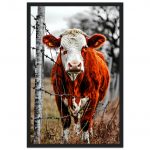 5d0332e9-d707-4589-8949-5d6d3c95c7de