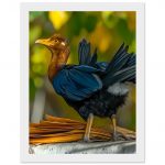 5e095ca7-98d2-4f0f-aac5-bc7090cefba4