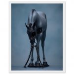 631ca7ae-af24-4b56-96f1-34555fc80db0