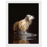 659afb71-70c7-4068-a6e8-8b8b00c85173