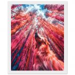 65e2582c-d9fc-4206-ac0a-fa77a752d563