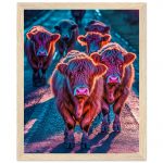 69d5952d-76e8-41f3-8f42-daa41d9ea057