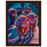 6a18f71a-598c-4f64-a19c-ddce0c74e555