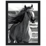 6a381713-1bdb-4998-bb0d-1601f366440b