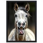 6a5bc43a-6cbd-41c1-9322-b9817fa232f4