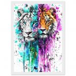 6a6eaa44-6d1e-4f01-b6ff-0b3fe87d420e