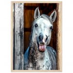 6e8daa77-a174-414b-80b8-d9d552cb3f14