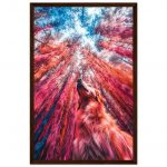 6f9bc361-cf35-4e91-8e24-c5d83a38616a