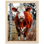 71f01814-64dd-4ffa-b20c-e5235cedfb2f