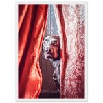 752e19ee-43ef-4c9d-acb4-e66681aed170