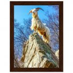 769484d9-02a7-415a-8310-297d468d52f9