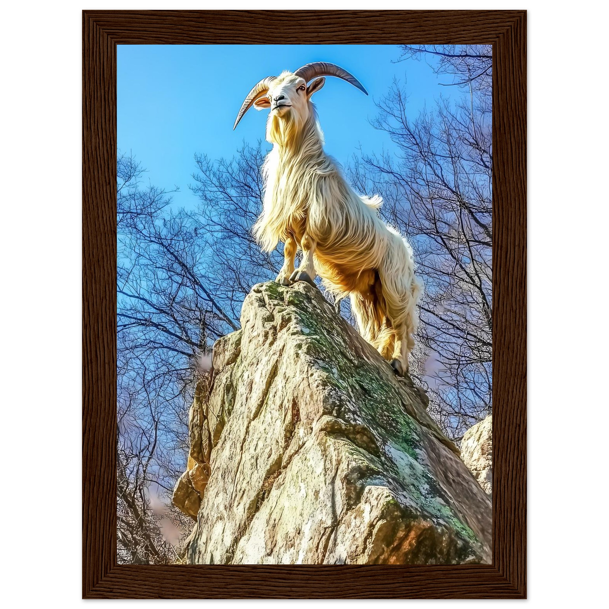 769484d9-02a7-415a-8310-297d468d52f9