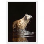 7747b8bd-2e9b-4560-9401-a58cd7a4aeb4