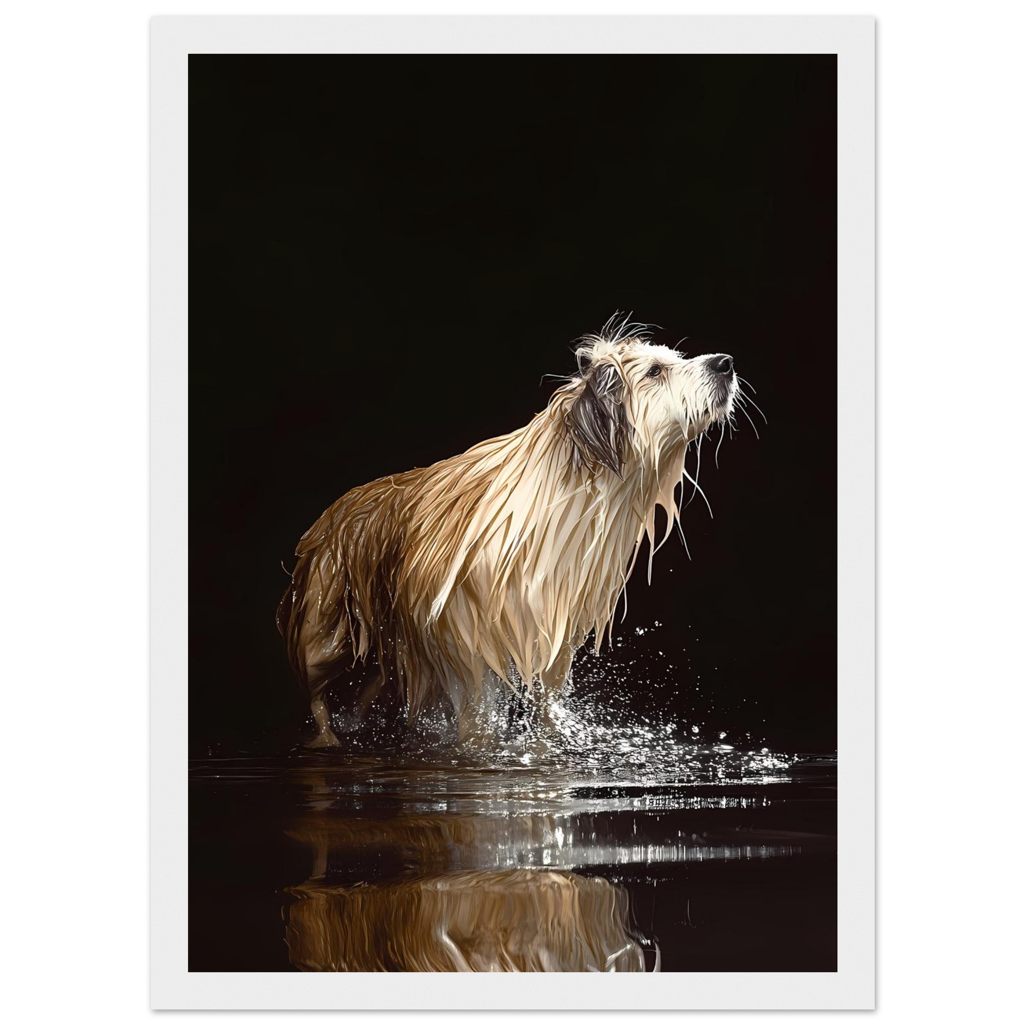 7747b8bd-2e9b-4560-9401-a58cd7a4aeb4