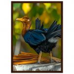 7898a99b-60cd-477b-a06b-af072d086fc6