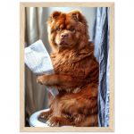 78dfb52c-11bc-4079-959d-e9812c109035