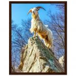 78ec121e-4ec3-41e2-aa2e-c67fd1fbc374