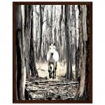 79d66534-b713-4904-8dc8-50182f771e74