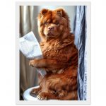 7a11eb7d-7747-48e5-a574-580a9bf44d67