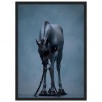 7aa73964-d5f6-48db-80d9-e6078ff9c2fe