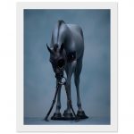 7ae23476-9c53-415c-ac42-e0c31c281ff5