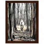 809fa7d6-815d-483d-8bff-986d2cd9b7d2