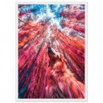 80ef858f-8c5f-488b-b162-289bcfa753bc