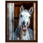 822a0097-01e5-4d8a-abbc-0d040ff3ca37