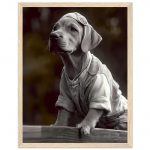 83080fcc-c01f-47a7-82e9-de42d7dc4086