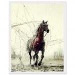 8510b44e-2bb1-4ddf-84f5-25628249bd01